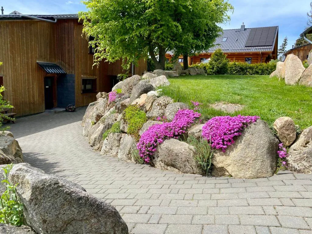 Apartment-am-Felsen-Tanne Apartment am Felsen Tanne