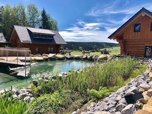 Home 1 Ortsbild von „Naturstammhaus und Appartements Zum Brockenbaecker“