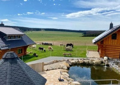 Chalet Wiese 4 Chalet Wiese Tanne 10