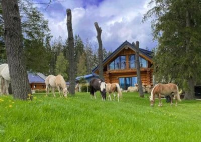 Chalet am Felsen Tanne 4